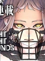 纸鸢之城漫画改动画封面